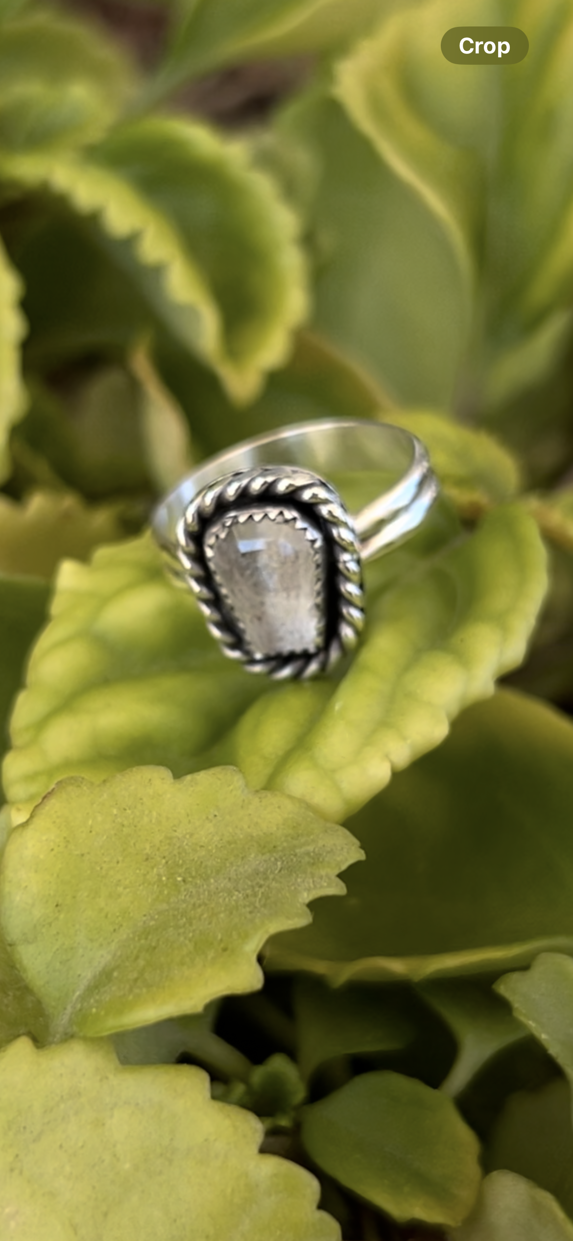 coffin shaped memorial ash cremation ring
