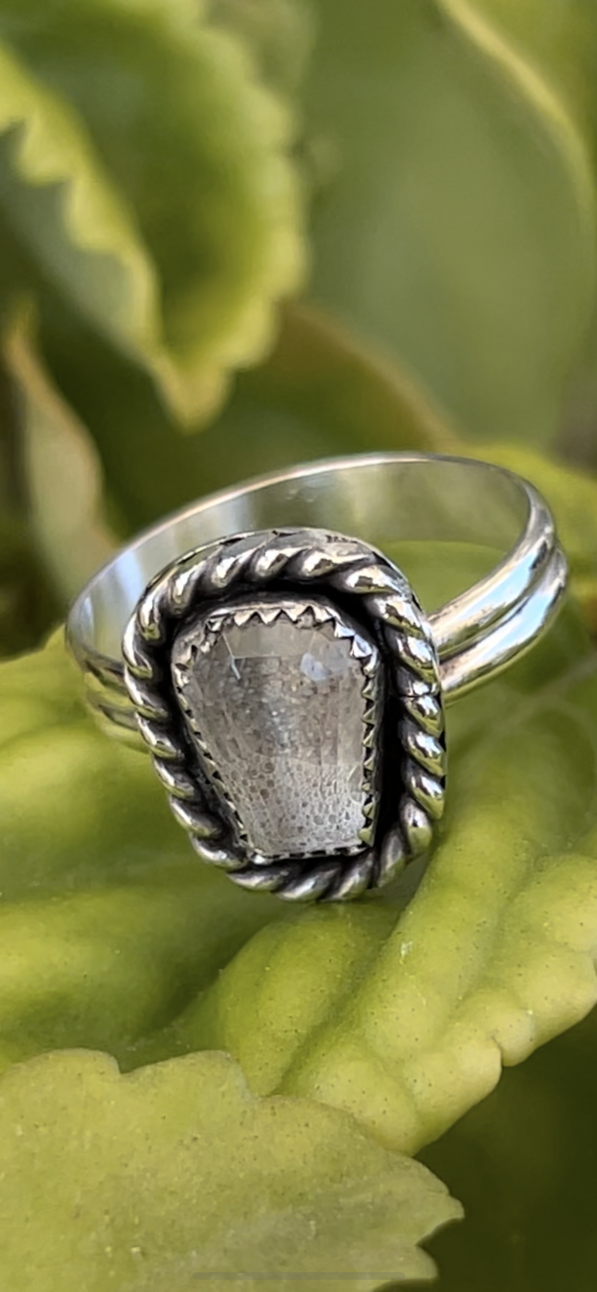 coffin shaped memorial ash cremation ring