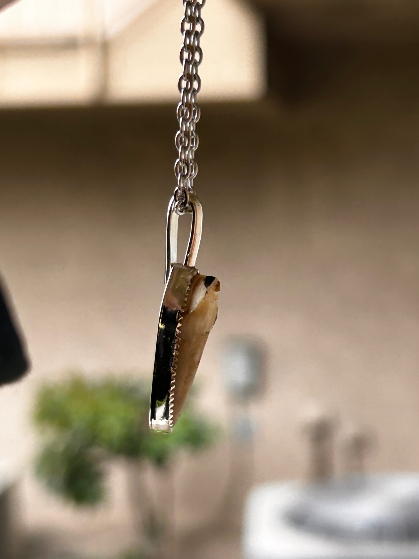 custom tooth necklace for pet tooth