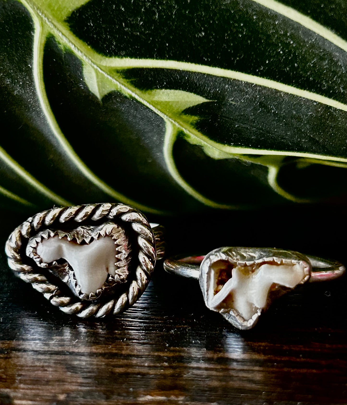 custom teeth rings for pet teeth