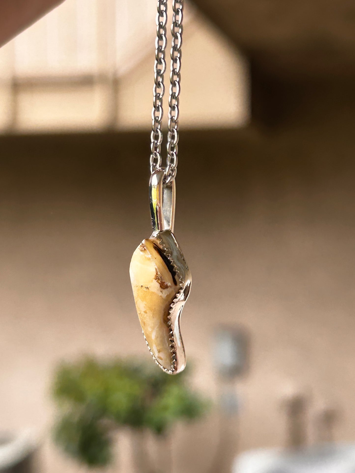 custom tooth necklace for pet tooth