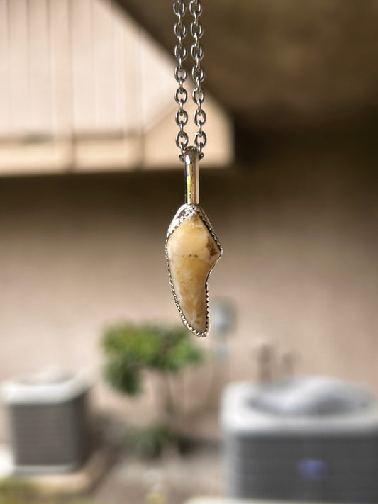 custom tooth necklace for pet tooth
