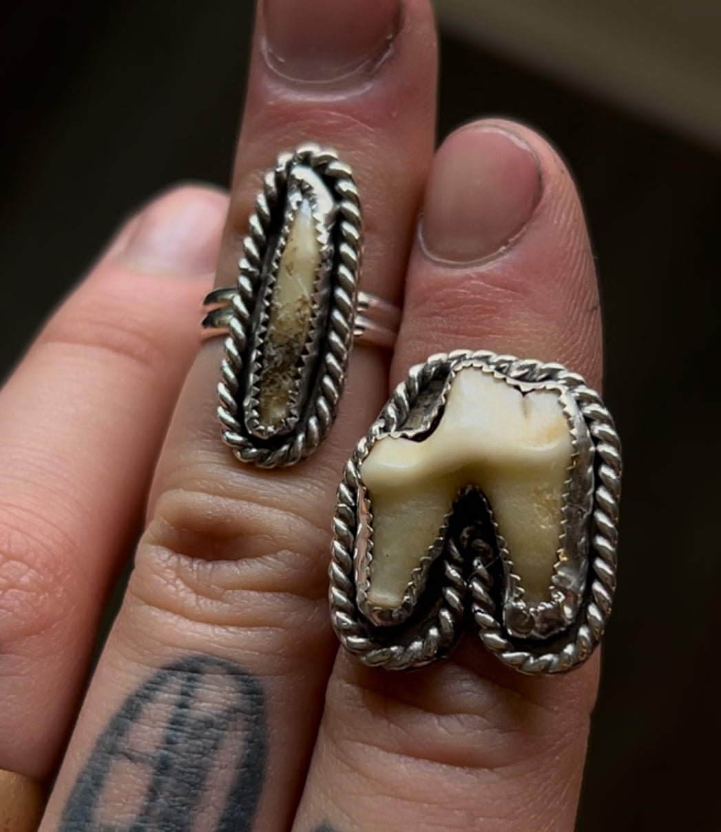 custom tooth ring for pet teeth sterling silver